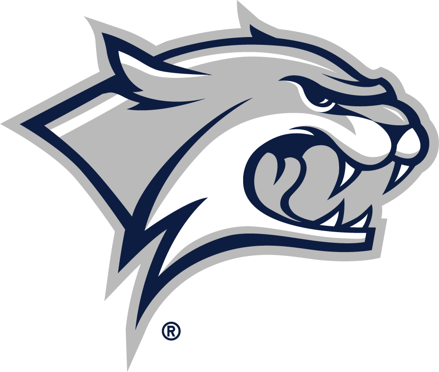 New Hampshire Wildcats 2019-Pres Primary Logo iron on transfers for T-shirts